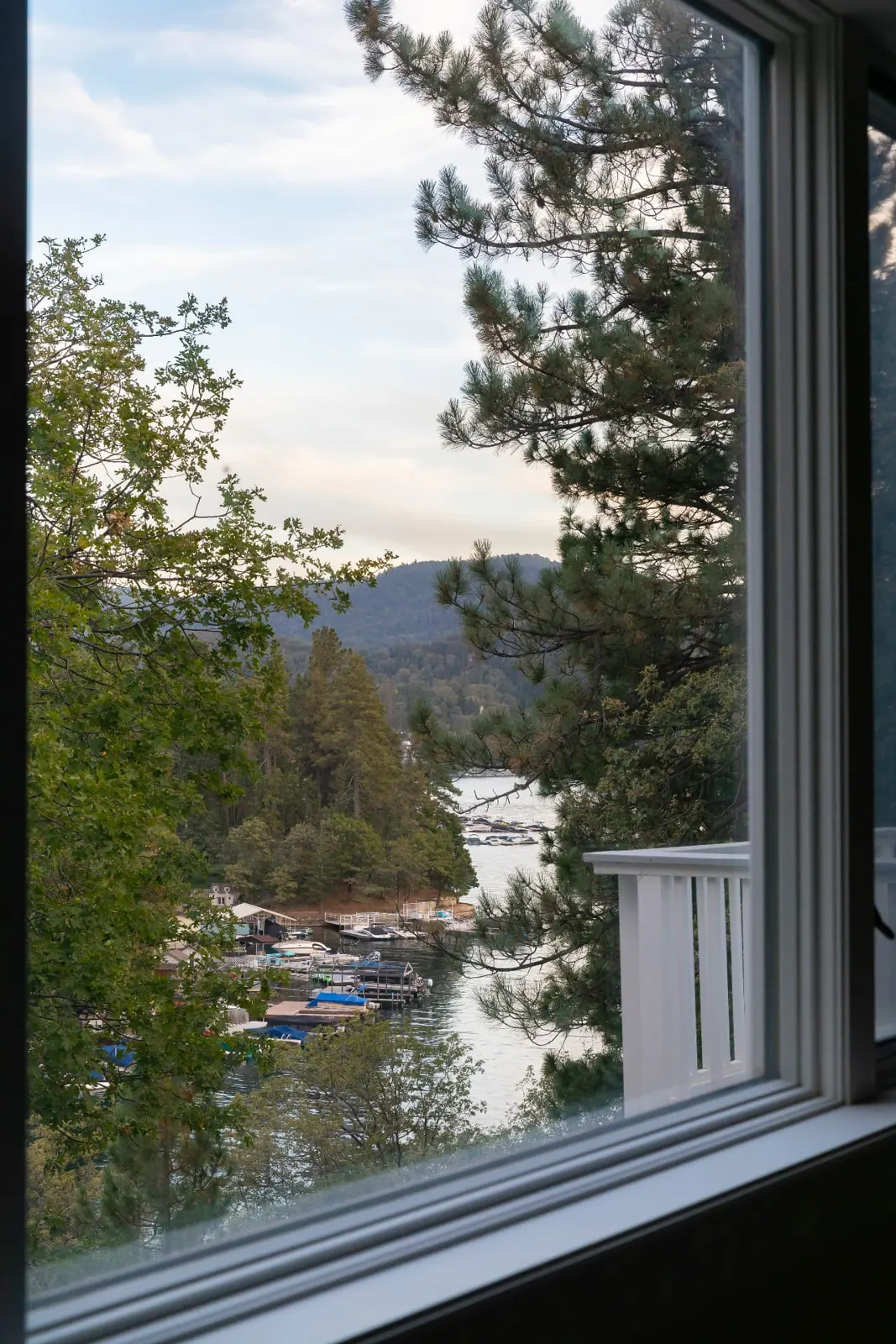 The view from a window